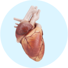 Coronary artery disease