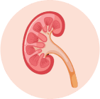 Chronic kidney disease 