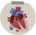 Valvular heart disease